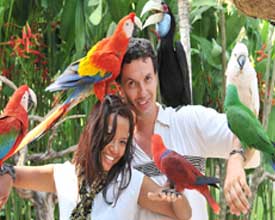 Bali-Zoo